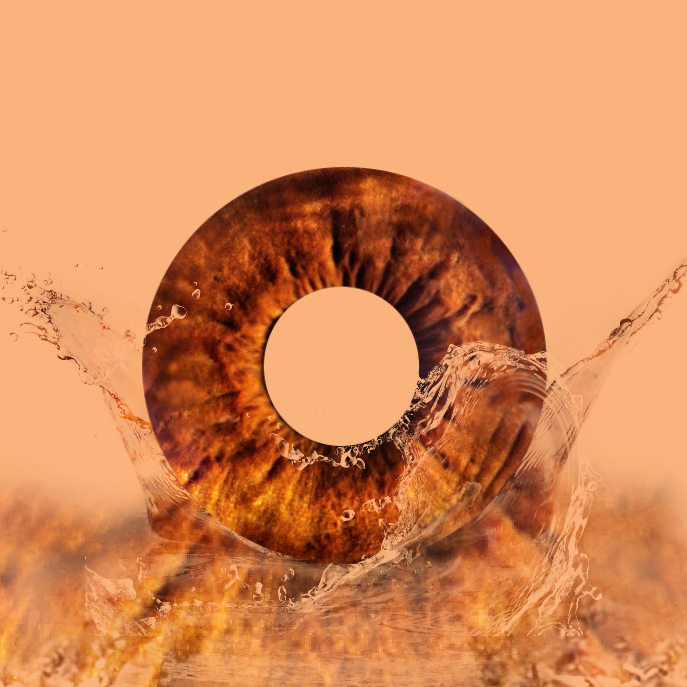 Iris 12